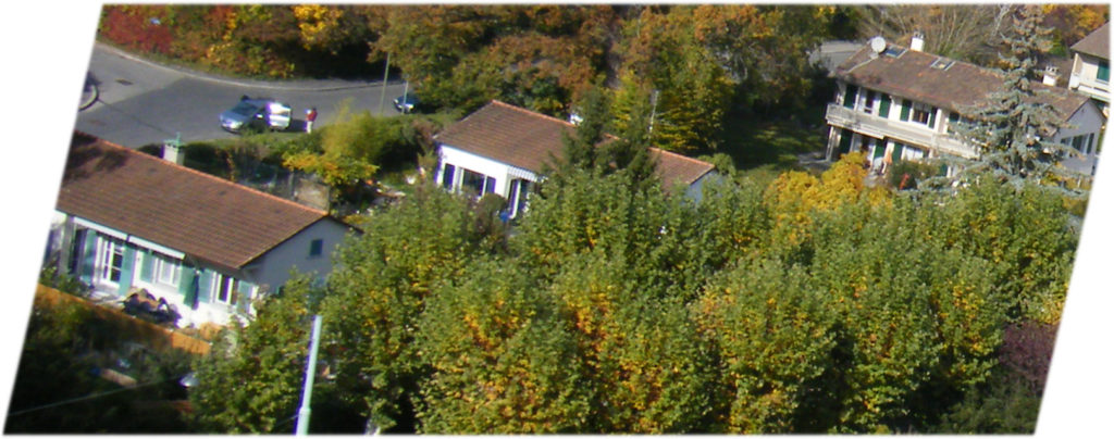 La Forêt